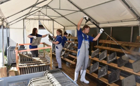 PIŁKA NOŻNA. Terminarz ligi trampkarzy