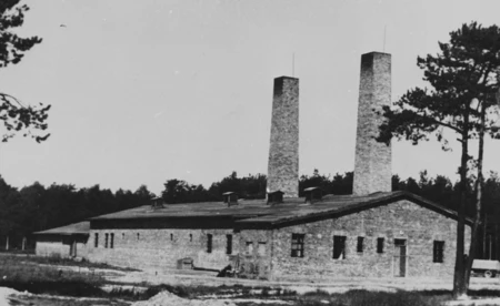 Rocznica wyzwolenia Auschwitz. Transmisja w TV i online