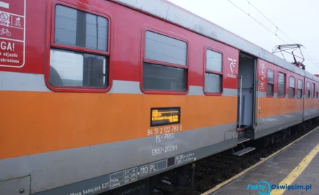 Grill elektryczny, skrzypce rower elektryczny. Co zostawiamy w pociągach?