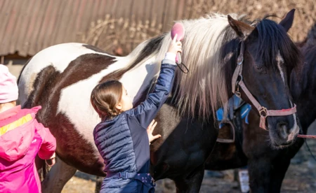 Wielkanocne zajęcia dla dzieci w stajni Ikarion - FOTO