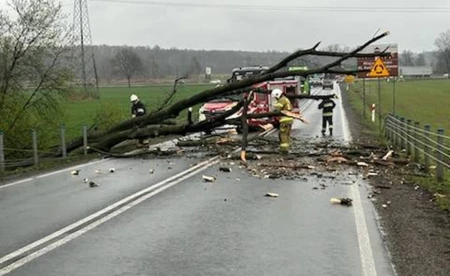 Drzewo zablokowało drogę w Łękach