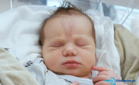 Noworodkowa galeria Faktów Oświęcim - FOTO