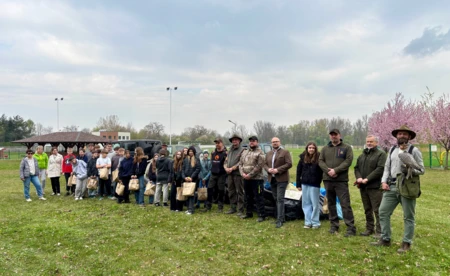 Opony i basen w krzakach. Akcja w Rajsku - FILM, FOTO