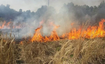 Podpalenia czy awaria hamulców?