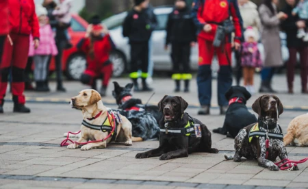 Wsparcie dla kęckich druhów