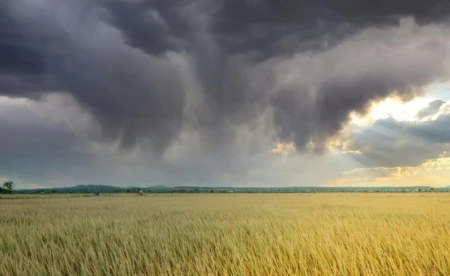 Burze i ulewy. Możliwe przerwy w dostawie prądu