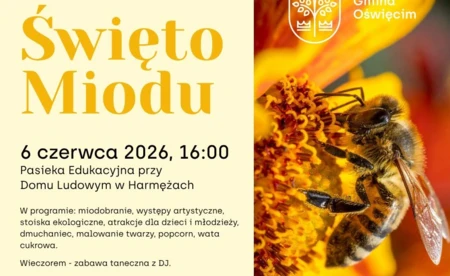 Rodzinne Święto Miodu przy Domu Ludowym