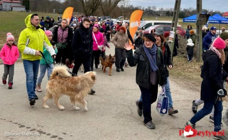 Pozytywny Spacer z Pupilem otwiera się na lokalny biznes