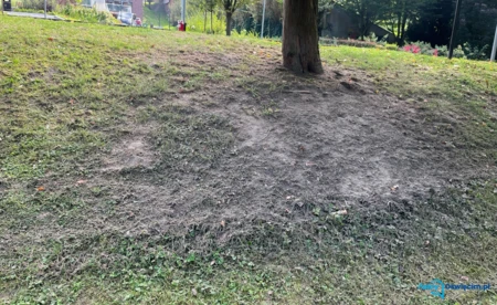 Kosiarka zryła ziemię na Bulwarach. Miasto wstrzymało zapłatę - FOTO