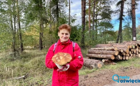 Grzyby wciąż rosną. Pani Maria w Bobrku znalazła olbrzyma