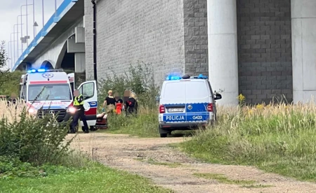 Pacjent uciekł z karetki i wskoczył do Wisły - FILM, FOTO, AKTUALIZACJA