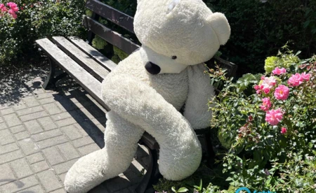 Miś polarny wrócił do Oświęcimia z bieguna północnego - FOTO
