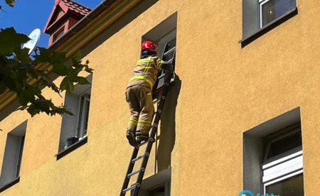 Słuchawki postawiły służby na równe nogi - FOTO