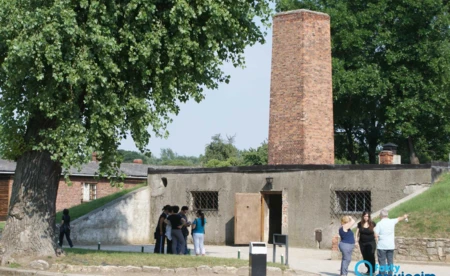 Grzegorz Braun neguje istnienie komór gazowych w Auschwitz