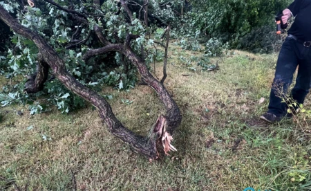 Ostrzeżenie dla mieszkańców: burze, grad i porywisty wiatr