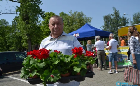 Oświęcim szykuje Ekomajówkę, zielone święto dla rodzin - FOTO