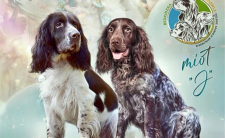 Integracja przez zabawę z czworonogiem w Oświęcimiu