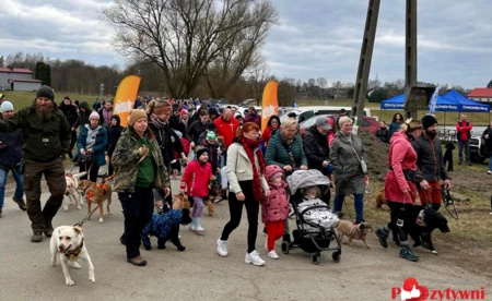 Lodowata woda, gorące serca. Pomagali bezdomnym zwierzętom - FOTO