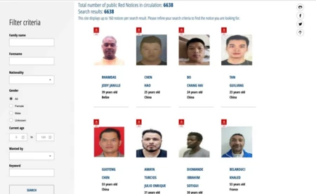 Ukrainiec, którego poszukiwał Interpol, wpadł przez pasy