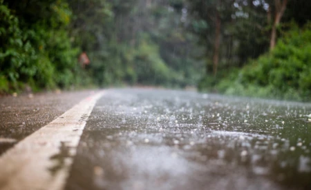 Wiatr, mżawka i chłód. Prognoza na 20 listopada