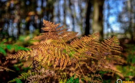 Jaka pogoda we Wszystkich Świętych?