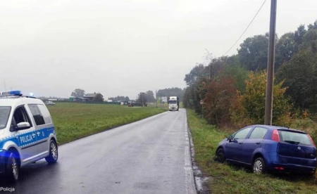 Hamował przed sarną i uderzył w przydrożny słup