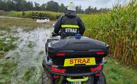 Rozlewisko w Brzeszczach. Strażacy zabezpieczają domostwa - FOTO
