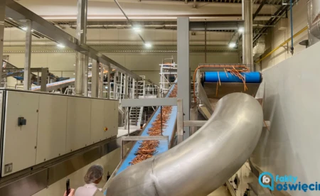 Beskidzkie odrodziły się jak Feniks z popiołów - FILM, FOTO