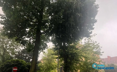 Nadciągają burze z gradem i silny wiatr - FILM