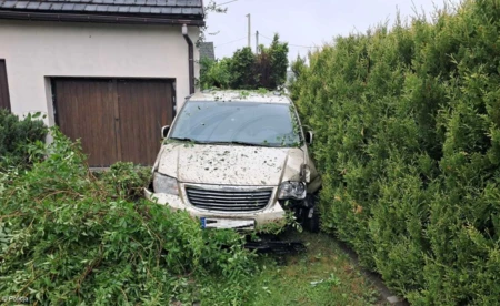 Po pijanemu wjechał w krzewy i wziął nogi za pas - FOTO