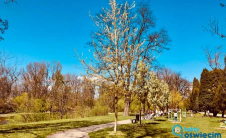 Ostrzeżenia pogodowe: będzie wietrznie i burzowo