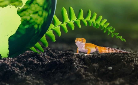 Dzień Ziemi w Oświęcimiu: Edukacja i zabawa w centrum kultury