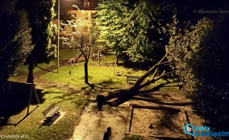 Strażacy sprzątają po burzy. Kilkadziesiąt interwencji - FILMY, FOTO