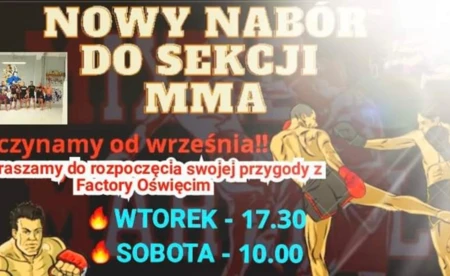 Factory z nową grupą MMA