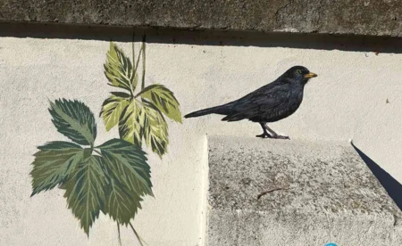 Ptasi mural na murze cmentarza żydowskiego - FOTO