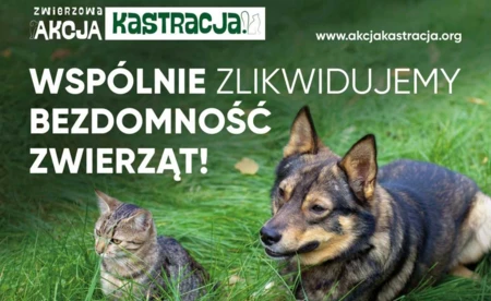 ZWIERZowa Akcja Kastracja