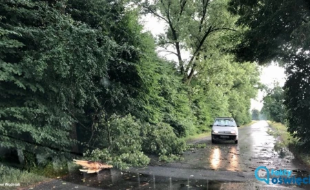 Burze i silny wiatr. Strażacy interweniowali ponad 30 razy - FOTO