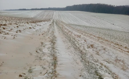 Pył znad Sahary dotarł do powiatu oświęcimskiego - FOTO