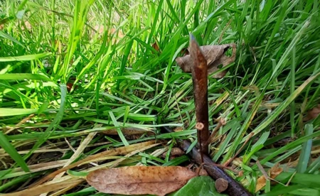 Wbił w ziemię metalowe pręty. Naraził zdrowie ludzi i zwierząt