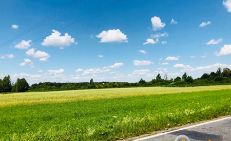 Czwartek ciepły, ale z przelotnymi opadami deszczu