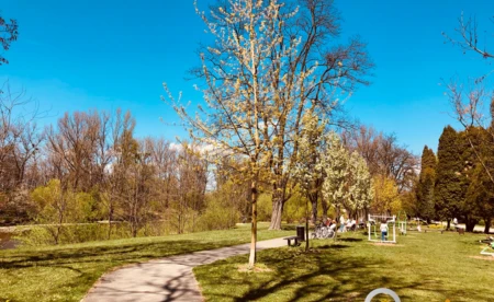 Jutro zimna Zośka. Pogoda na 15 maja
