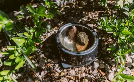 Cafe Bergson podpowiada, jak dbać o planetę - FOTO