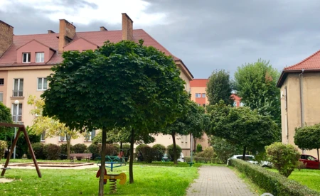 Deszcz i silny wiatr