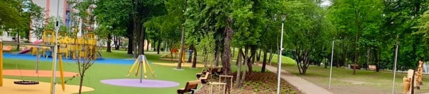 survey section background