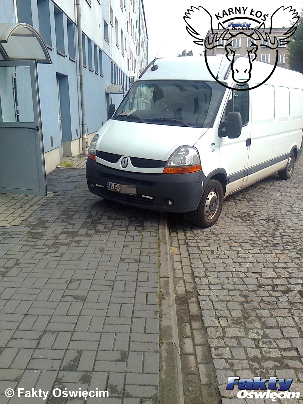 Oświęcim, łoś, karny łoś, karne łosie, parkowanie