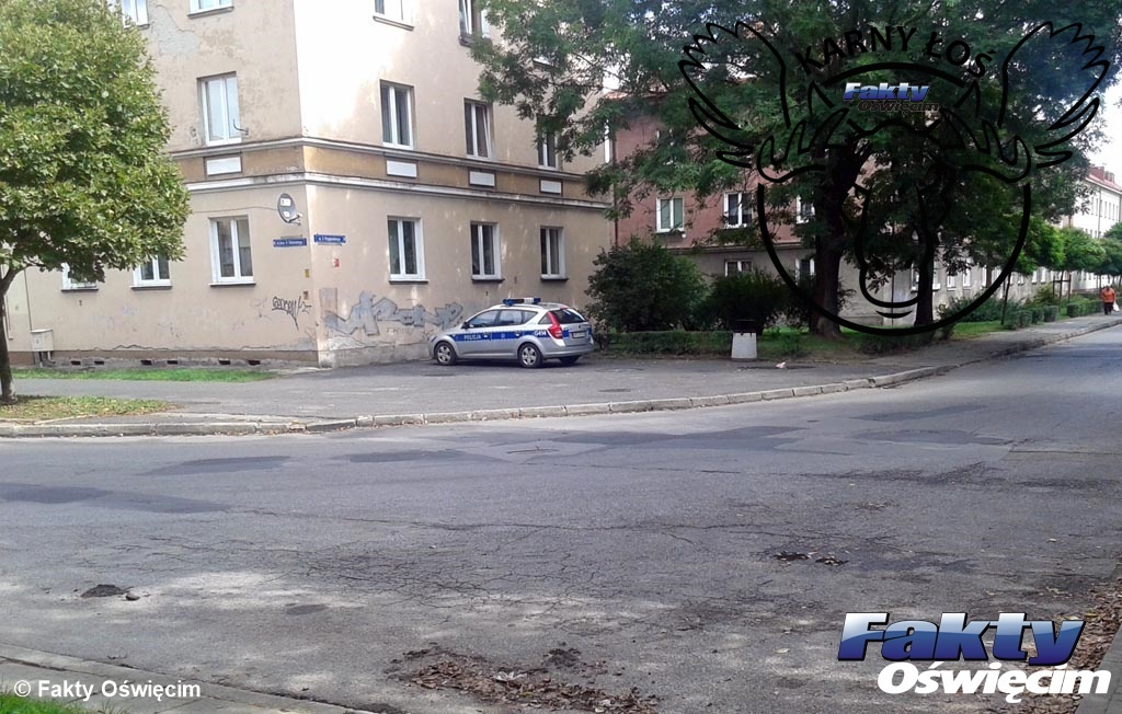 Oświęcim, łoś, karny łoś, karne łosie, parkowanie