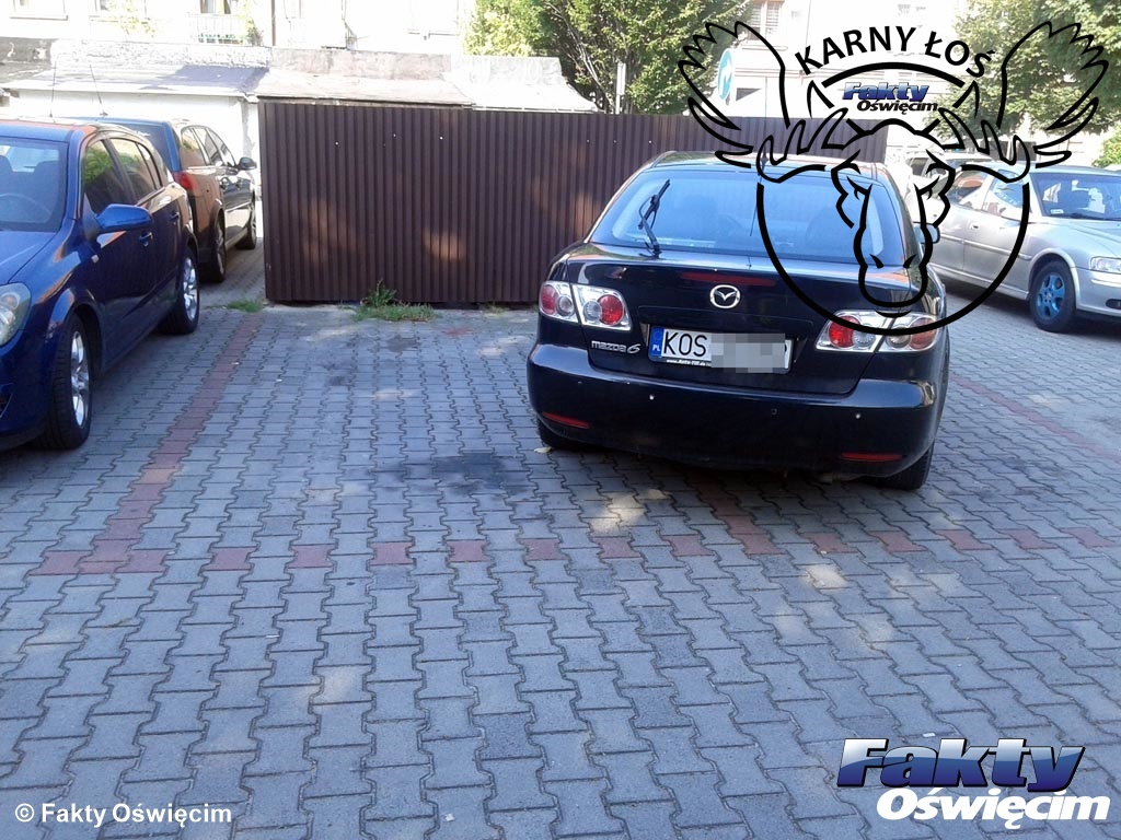 Oświęcim, łoś, karny łoś, karne łosie, parkowanie