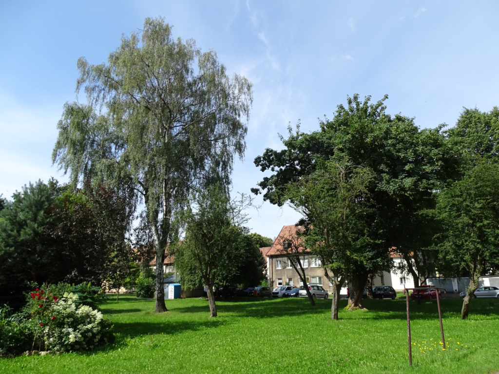  width=