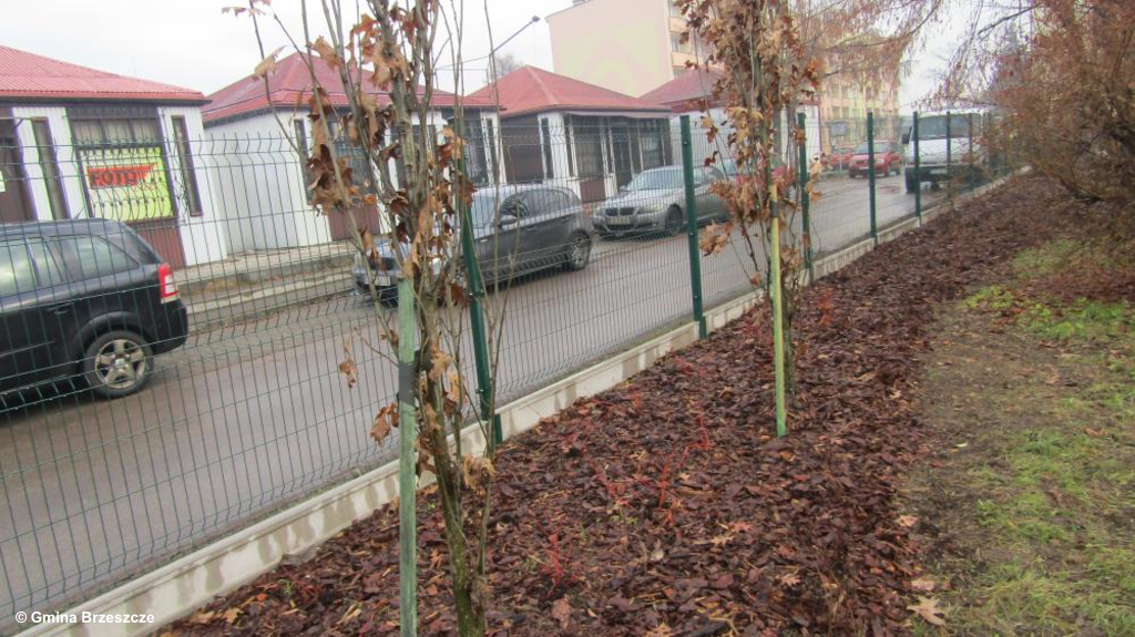 width=