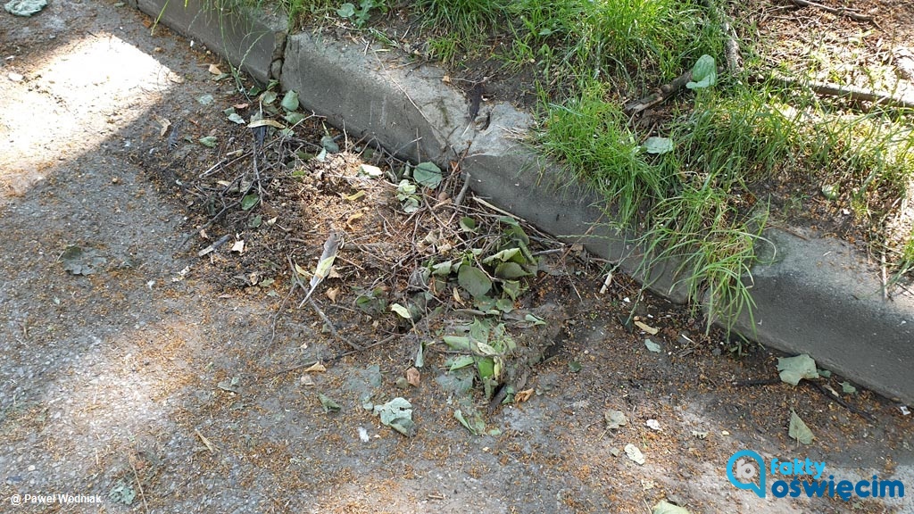  width=